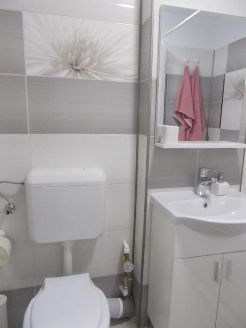 Apartament Tanya 特尔戈维什泰 外观 照片
